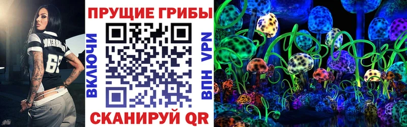 блэк спрут сайт  Нижний Тагил  Псилоцибиновые грибы ЛСД 