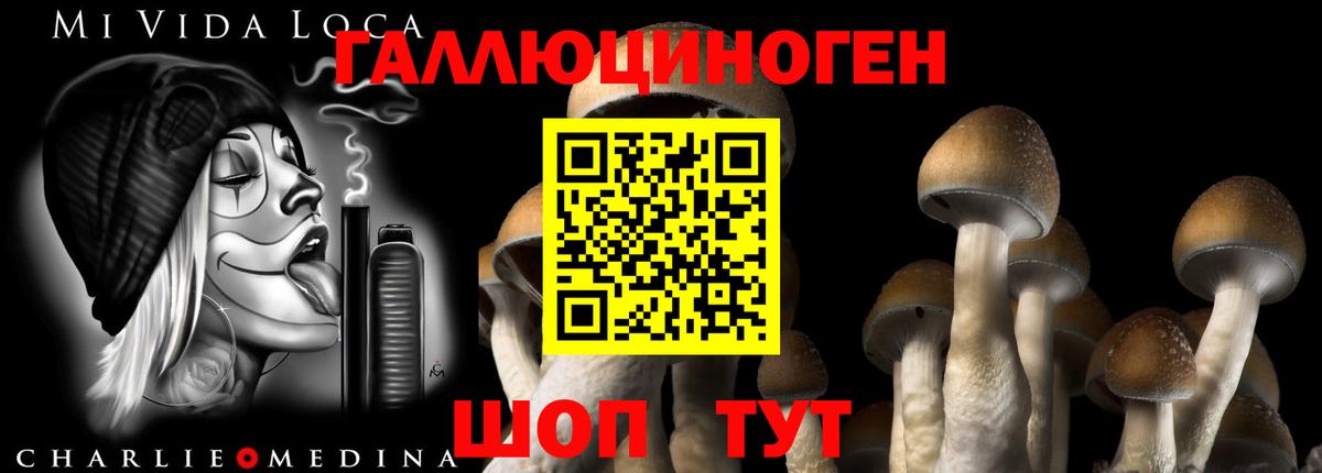 где продают   Вход с VPN  Нижний Тагил  Галлюциногенные грибы Psilocybine cubensis 