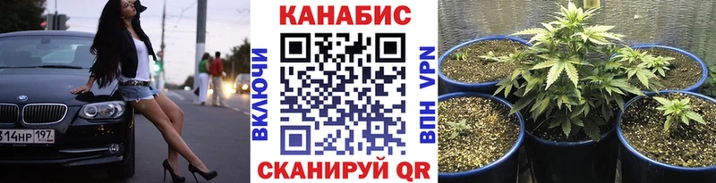 Бошки Шишки White Widow  купить наркоту  Нижний Тагил 